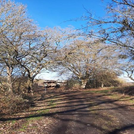 Exklusive Naturoase Direkt Am Ars Natura Wanderweg Mit Panoramablick Auf Melsungen Exterior foto