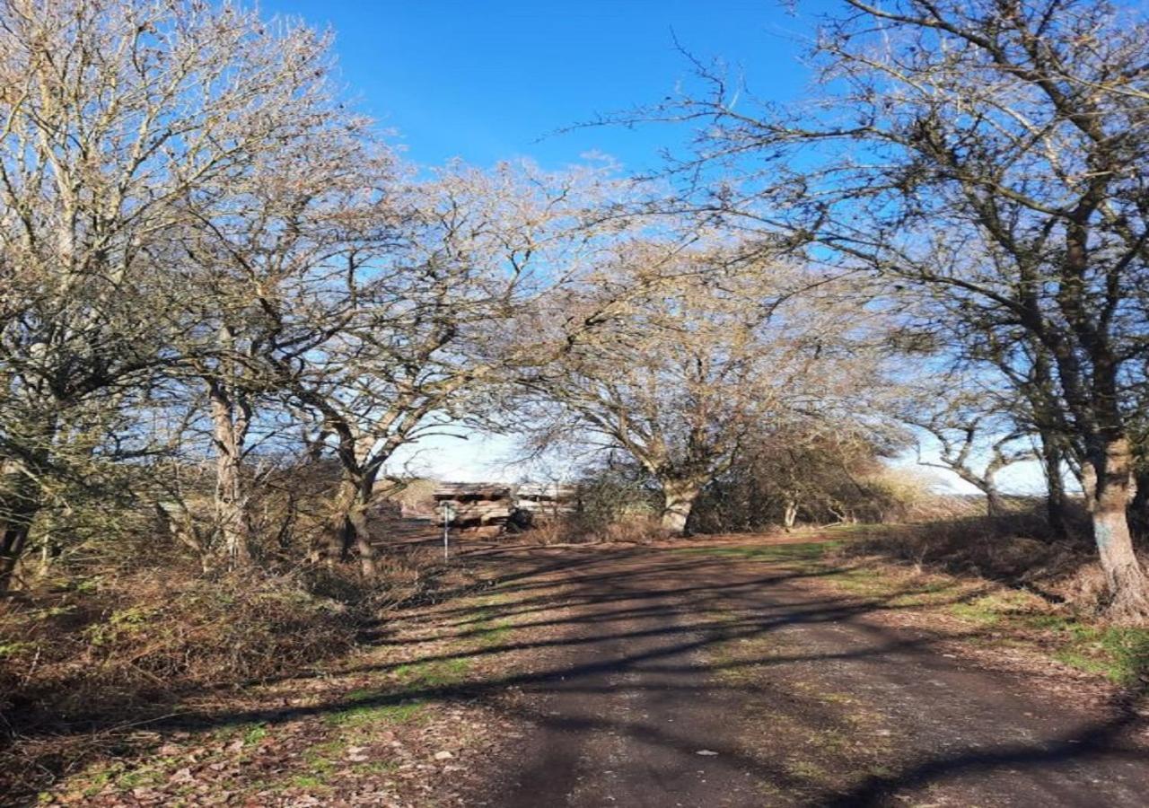Exklusive Naturoase Direkt Am Ars Natura Wanderweg Mit Panoramablick Auf Melsungen Exterior foto